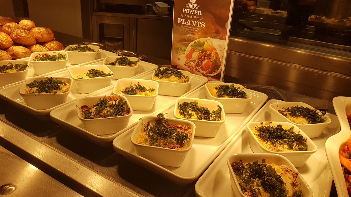 jamesjocky's tweet photo. @Elior_Group @elioruk @CathrynTemple Vegan week at Murray's Hinxton Hall Field Mushroom and Ratatouille Gratin #meatfree #vegan #veganweek #teamelior #eliorfoodie https://t.co/p2mNjMunok