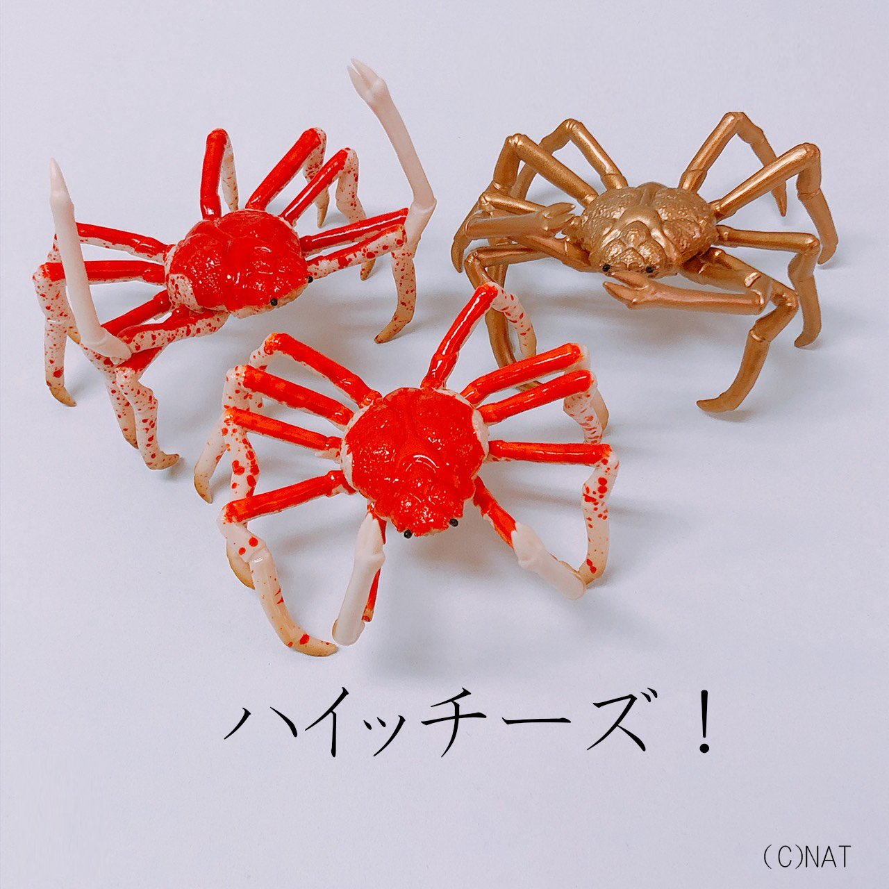 タカアシガニ フィギュア ホビー速報＠フィギュア＆プラモ على X: 