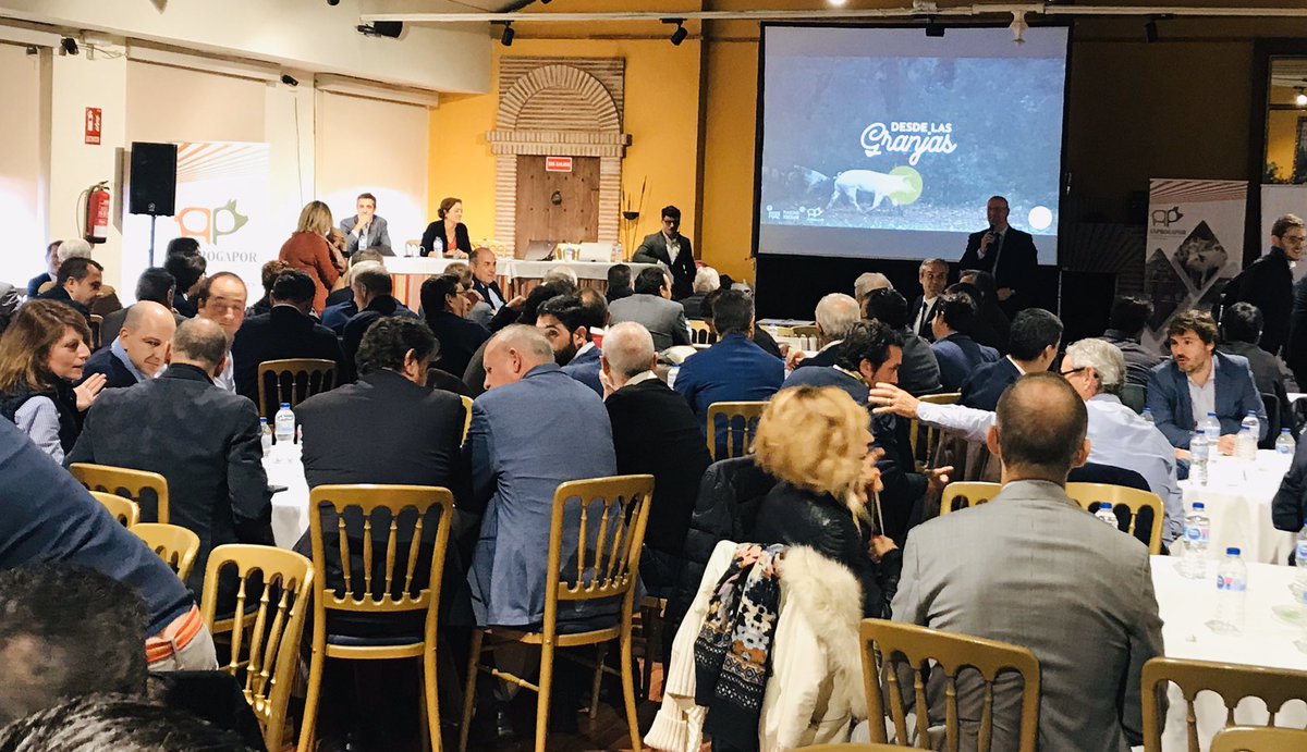 Vetmasi's tweet photo. Aforo completo en la Asamblea General de #anprogapor Asociación Nacional de Productores de ganado #porcino #swine con Esperanza Orellana Directora General de Producciones y Mercados Agrarios del @mapagob @EspOrellana #comunicardesdelagranja #exportacion #sanidadanimal https://t.co/1eUdSwihQc