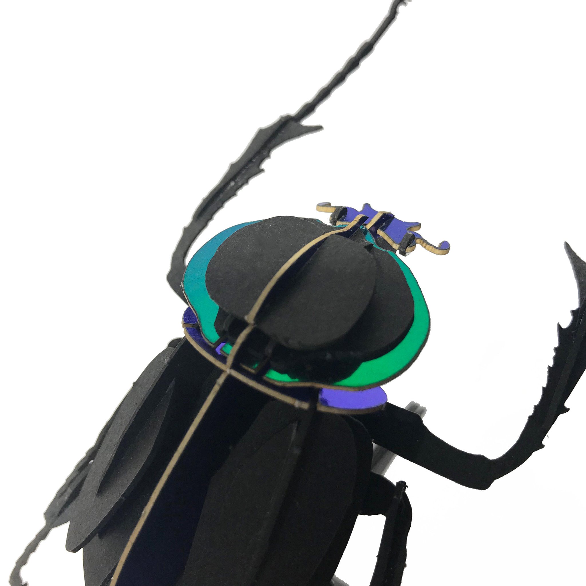 ウラノランド En Twitter 昆虫ペーパーパズル 対決シリーズ カマキリ カブトムシ ヘラクレスは単体でも人気ですがヤンバルテナガコガネは角度によって色が反射してとっても綺麗でおすすめです T Co Srcqz8pjwl カマキリ カブトムシ ヘラクレス