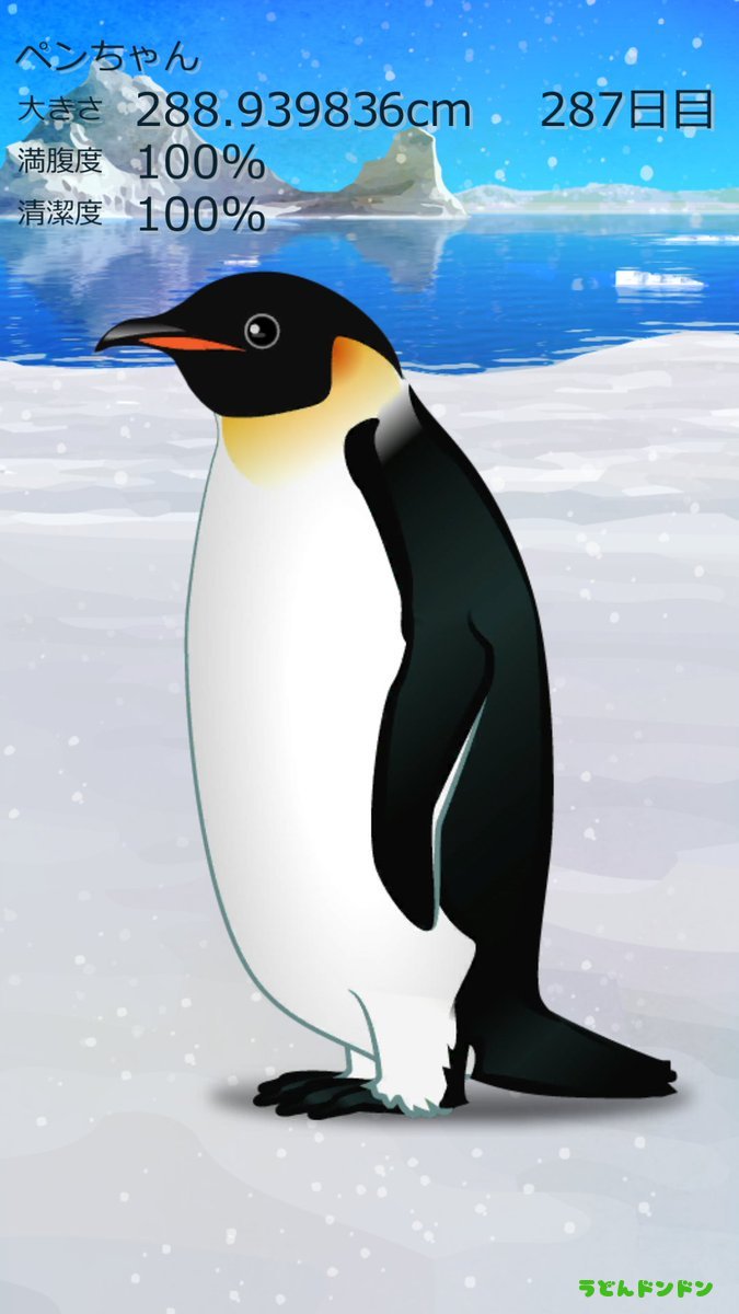 癒しのペンギン育成ゲーム