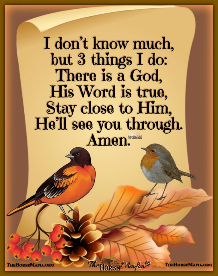 Weldon (@weldon_73) on Twitter photo 