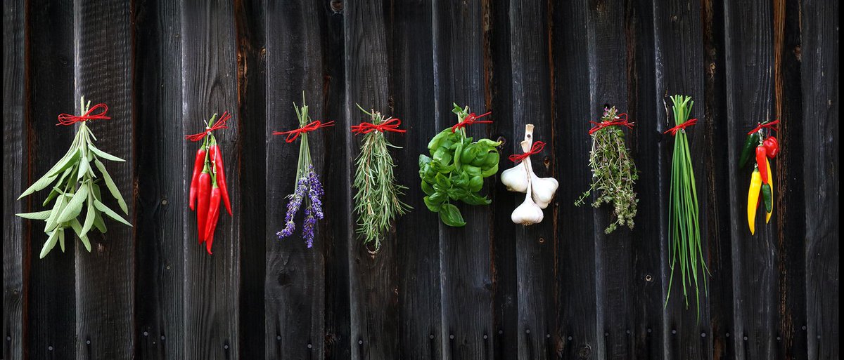 ASvastha's tweet photo. 7 Ayurvedic Herbs to Boost your Energy and Stamina
#read_Now: https://t.co/UmcXYvGDJ7
#Buy_Now: https://t.co/q1wsWhuogU | https://t.co/pCuV6VkEvm
#Health #herbal #Ayusvastha #Remedies #Medicines #Energy #Stamina #Fitness #Ashwagandha #Iron #Triphala https://t.co/OKGeP0PEMf