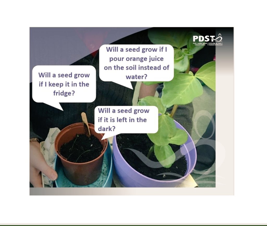 OidePrimarySTEM's tweet photo. Look at these images...what testable questions could you ask? @ScienceWeek @esbscienceblast #PDSTTestableQ #ScienceWeek #BelieveInScience https://t.co/c5c3vvLdoo
