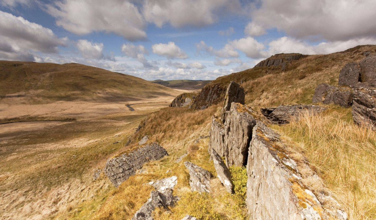 If you strip the nature from these sensitive landscapes, as we have done across the British uplands during the last two centuries, they lose their ability to fulfil this function. So when it rains you get a torrent and a flood downstream, and in the summer the rivers run dry.