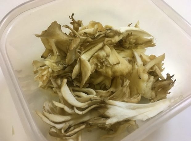 ore825's tweet photo. ご飯もお酒もガンガン進む！蒸された舞茸の香りが控えめに言って最高な

「無限まいたけ」

容器にほぐした舞茸100gを入れラップし600W1分30秒チン

加熱後、容器の水分を捨て、油を切ったツナ缶1/2、ごま油小2、塩小1/4、味の素3振り、黒胡椒いれ混ぜ完成！

味見で��くならないようにご注意を！ https://t.co/nTvbjn1qnJ