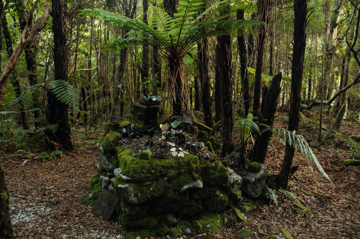 Read more about this incredible  #kakapo  #conservation pioneer  @NZStuff:  https://www.stuff.co.nz/environment/116997225/a-forgotten-pioneer-the-depressed-conservationist-who-rowed-500-kkp-to-safety. Better still, read Susanne's and John Hill's fantastic biography, 'Richard Henry of Resolution Island' (2015).