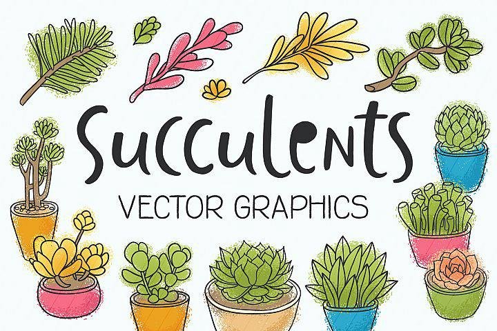 DavidZydd's tweet photo. FREE Graphics: Succulents 14 vector illustrations #design #vectorleaves #leaves #behance #graphics #leaf #graphics #free #GraphicDesign #vector #floral #design #succulent #plant https://t.co/ueGYmIzaho https://t.co/muGDzfaSo0