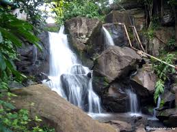 Picnics at Oloolua in Karen- a 5km nature trail with a waterfall, picnic site and camping areaIt's kshs 200 for a day.