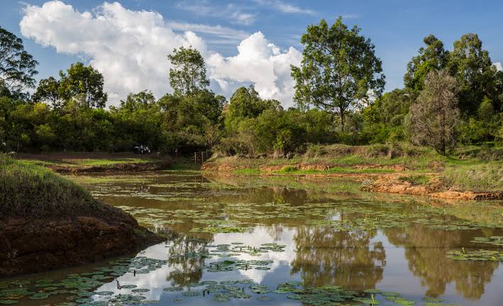 Go cycling at Karura forest200 entrance fees and 500 to rent a bike . You can go with your own bicycle