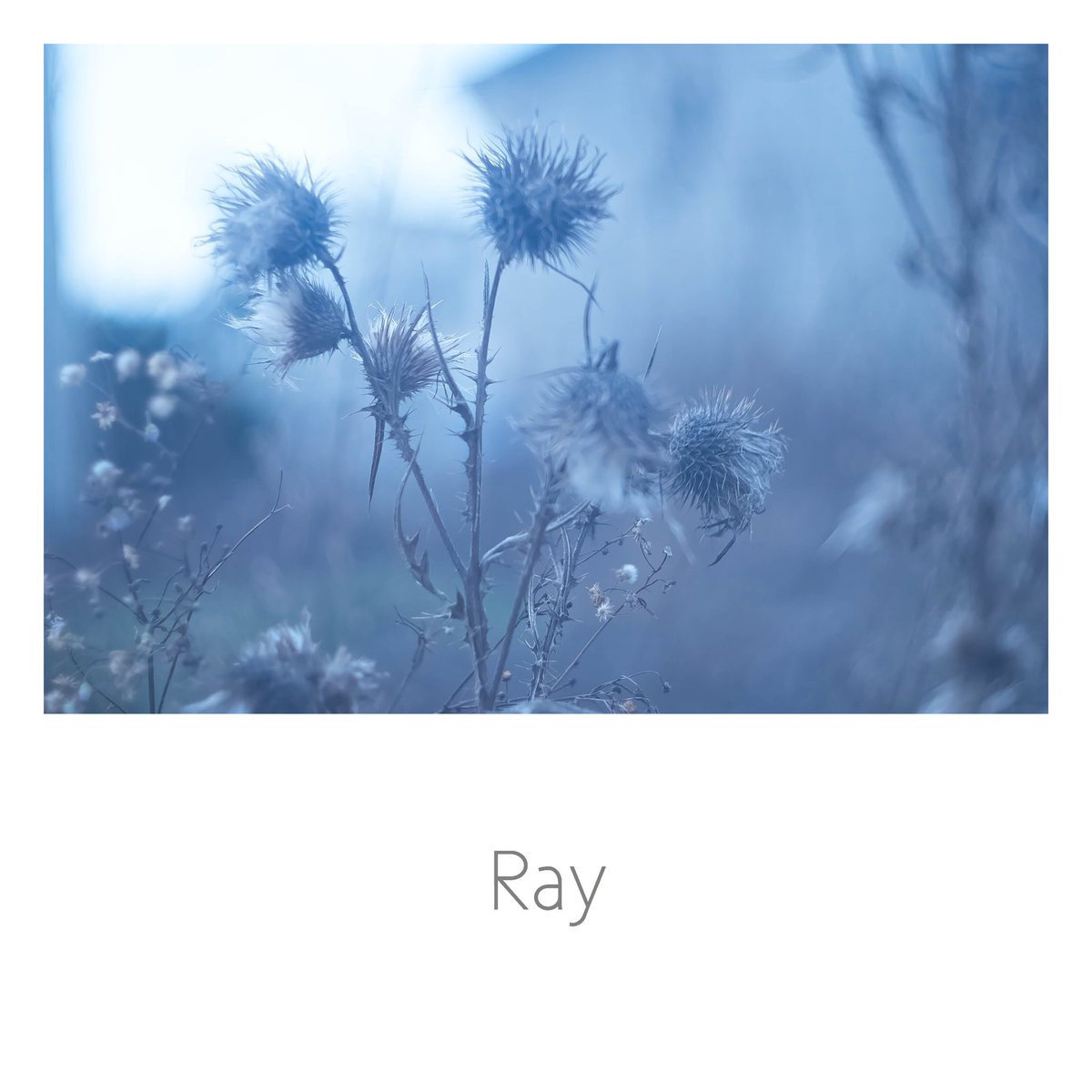Ray (@bluebell_ray) / Posts / X