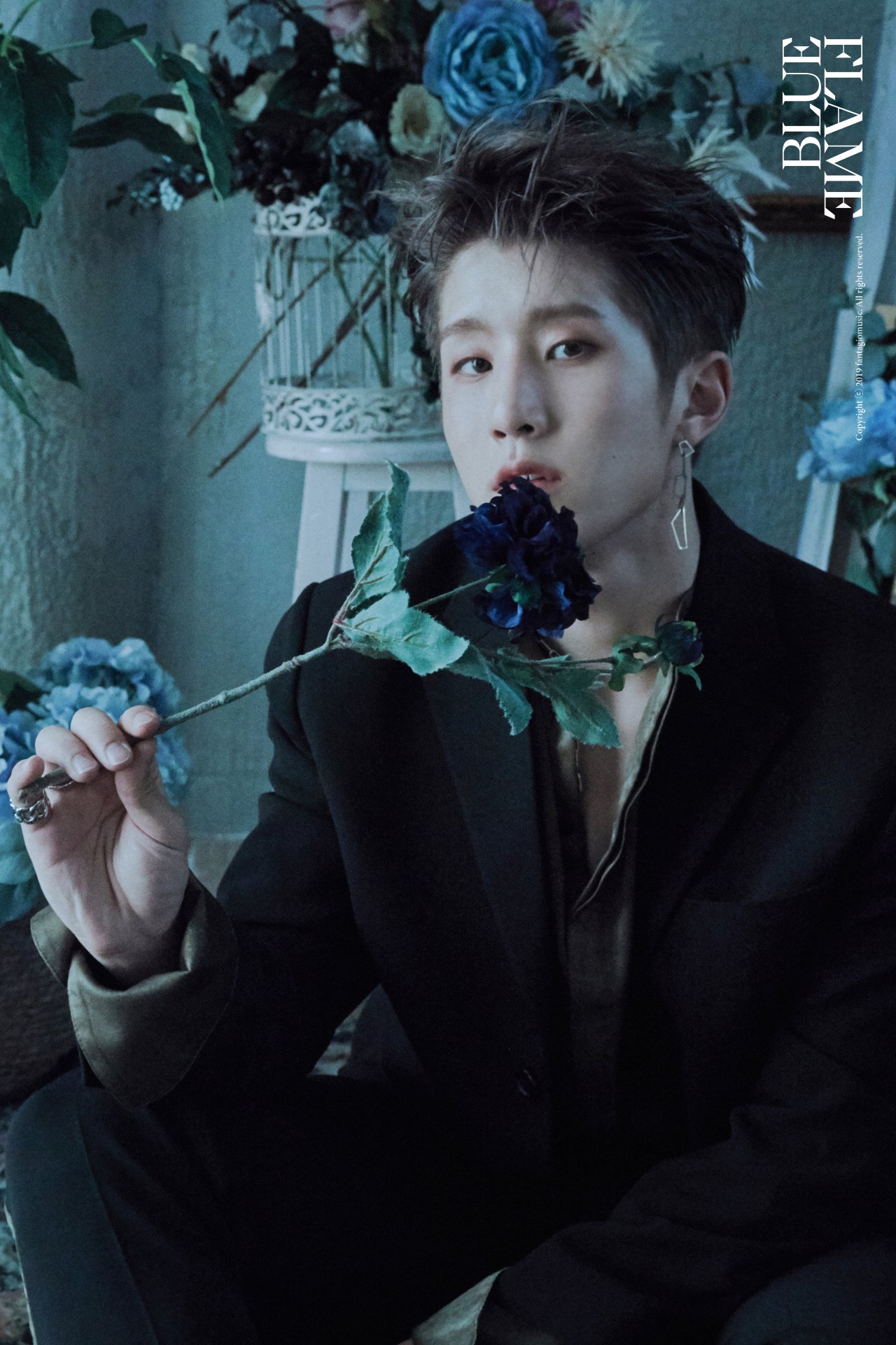 ASTRO JAPAN OFFICIAL on X: 