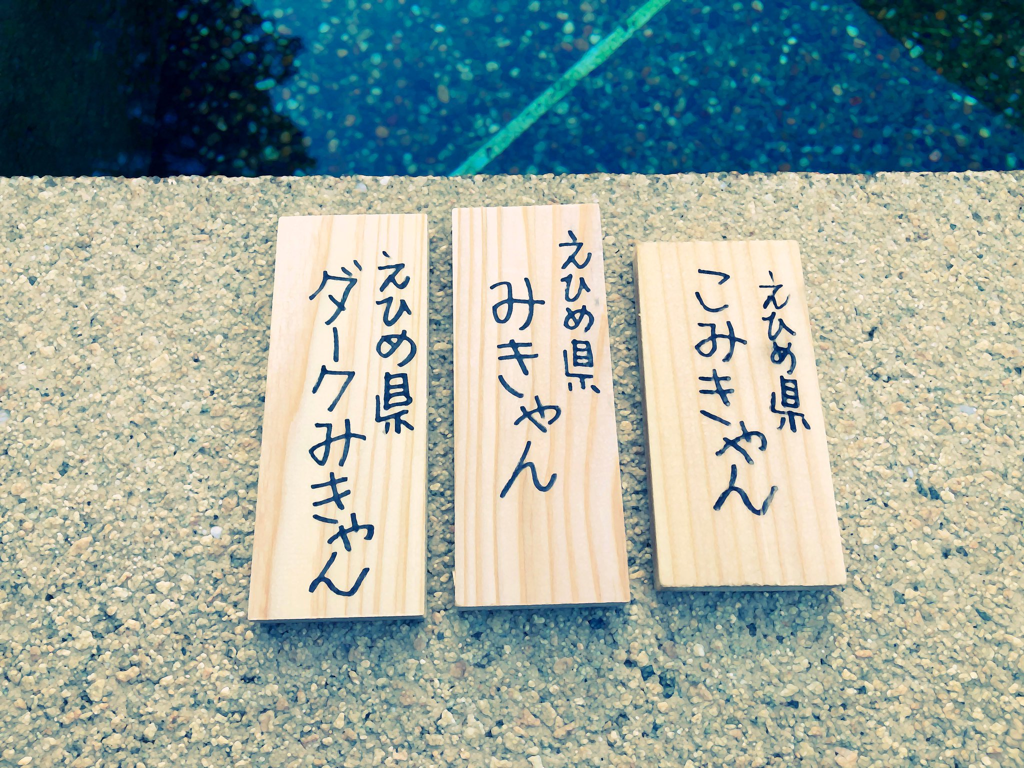 活動歴および当時の関連ビジュアル記録
