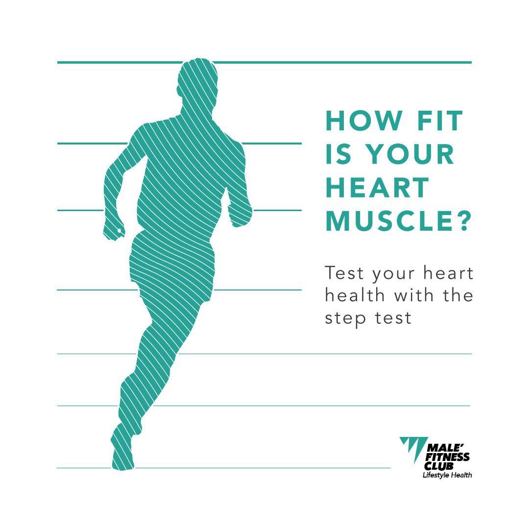 mfcgym's tweet photo. Test your heart health with the Step Test. You can try it yourself at the gym. Our Trainers can direct you.

#MFCGym https://t.co/pdMYcMm98P
