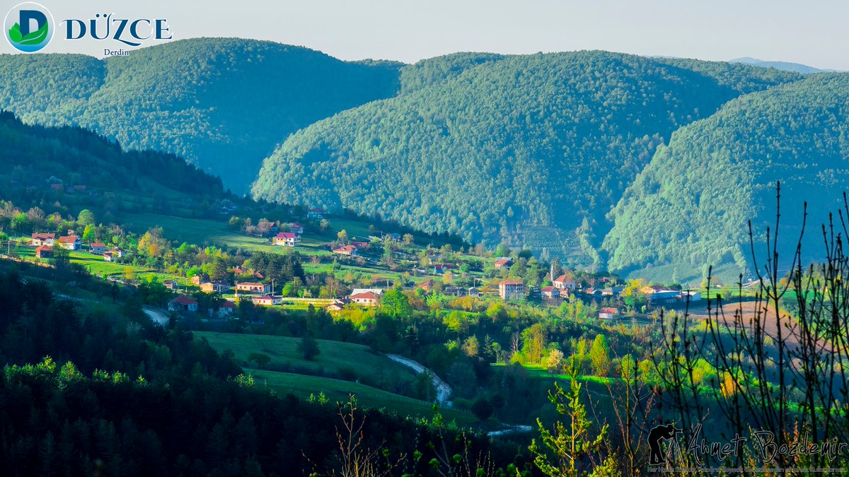 duzceiktm's tweet photo. Don't you think it's amazing?💚 Just a few hours to #Istanbul and #Ankara!!! Düzce Derdin Village
📸 @abozdemir
#Turkey #Düzce #DerdinKöyü
@TCKulturTurizm @TCKulturPortali @GoTurkey
#IconicExperiences #autumn #bestoftheday #Travel #NaturalTherapy #WednesdayMotivation https://t.co/Z0guzCk1e8