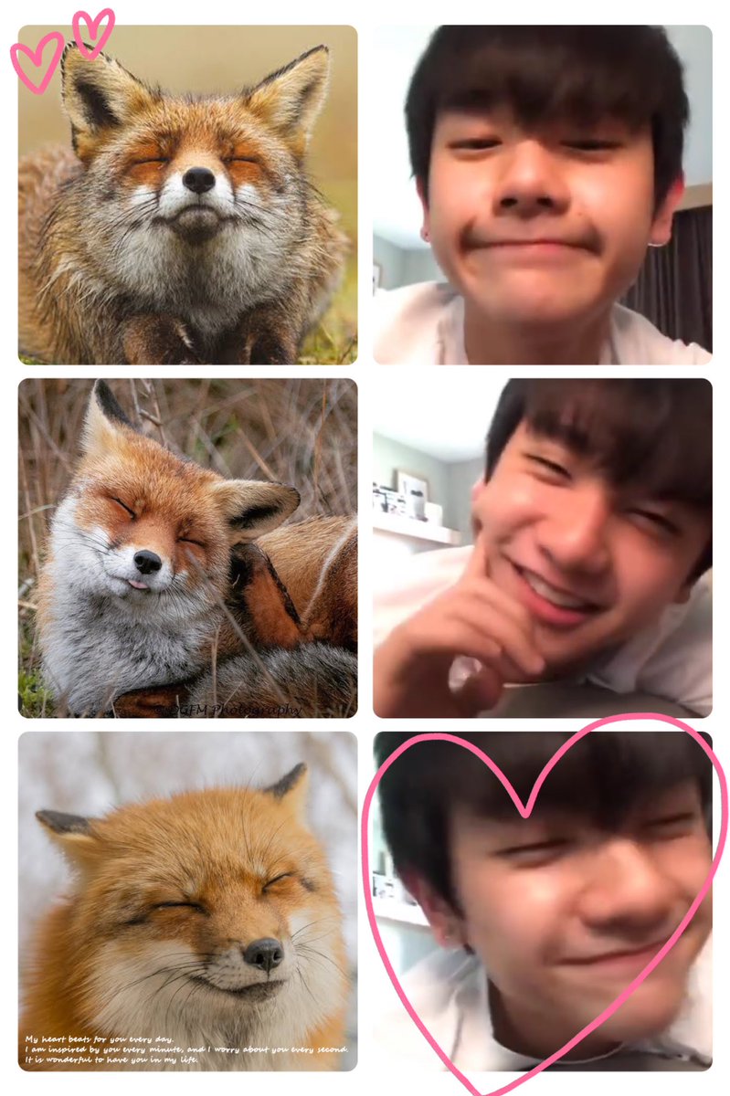 I see no difference ^ㅅ^