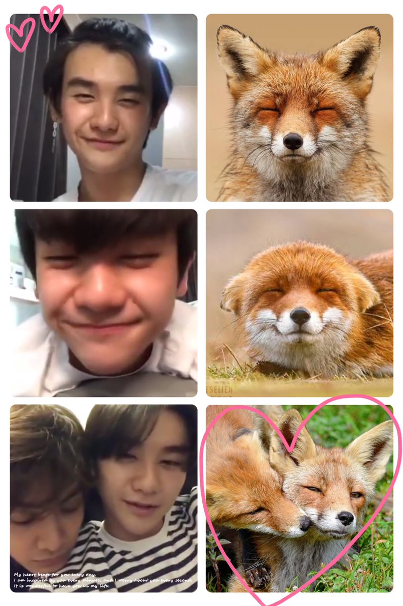 I see no difference ^ㅅ^