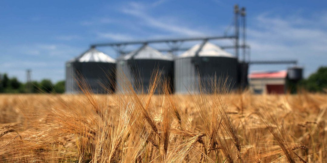 Expert_Agro's tweet photo. В Минэкономики прогнозируют урожай зерновых в Украине на уровне 74 млн. тонн https://t.co/zrV74TorFU https://t.co/ufiX0BpfD8