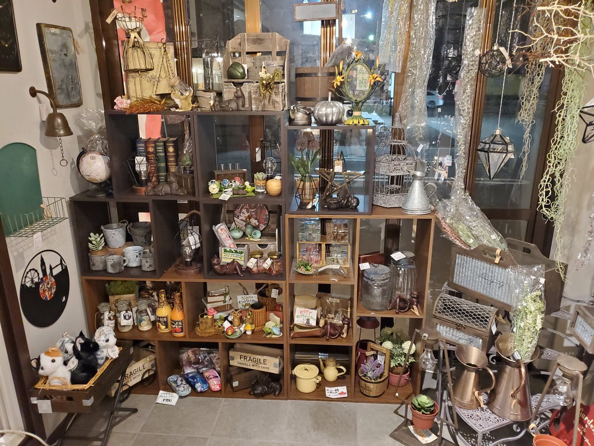 雑貨屋 Econet 今晩は 今週は雪が降る予想が出ているようで 更に寒くなりそうですね 雑貨屋ecoネットも 冬のイメージで玄関の模様替えをしています 店内全体も模様替えをしていて 新商品も多数入荷しました 鉢なども豊富に揃っていますp Q