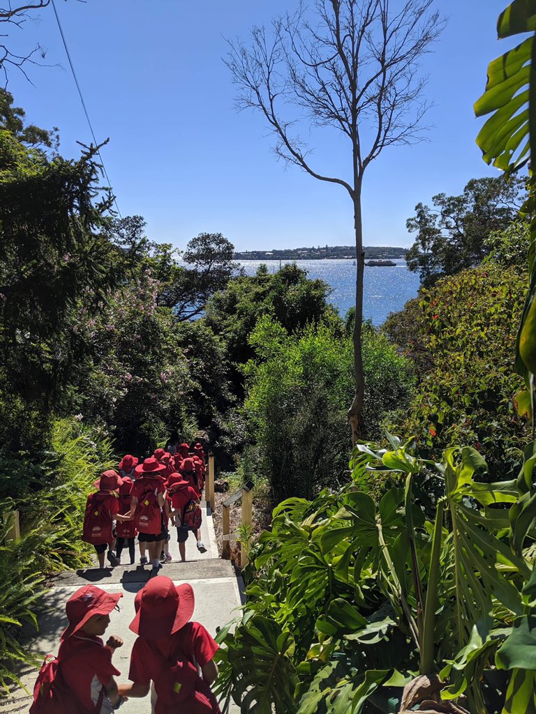Anzac Park PS tweet media