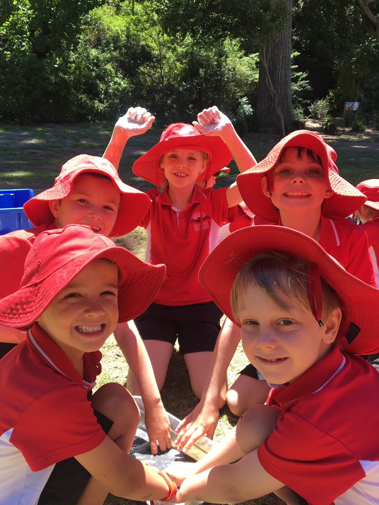 Anzac Park PS tweet media