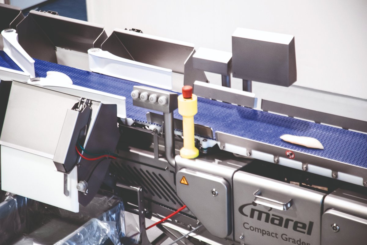 We look forward to welcoming you at our Demo Days event in Seattle, 20-22 November. See a range of Marel equipment and software across the value chain and find out how to improve your fish processing results. bit.ly/SeattleDemoDay… #Fish #FishProcessing