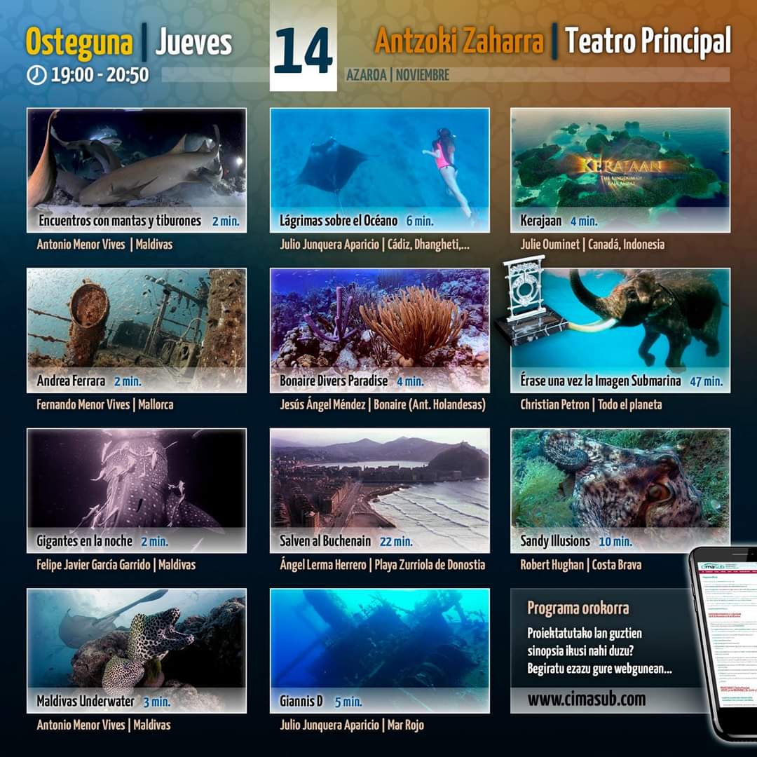 HaagseNatuur's tweet photo. Morgen 14 nov. gaat #SandyIllusions haar Spaanse première beleven op een Int. Wildlife film festival Cimasub-San Sabastiàn ...
@duikeninbeeld @SpanjeNederland
@spain @CostabravaToday https://t.co/kFwazFh8Md