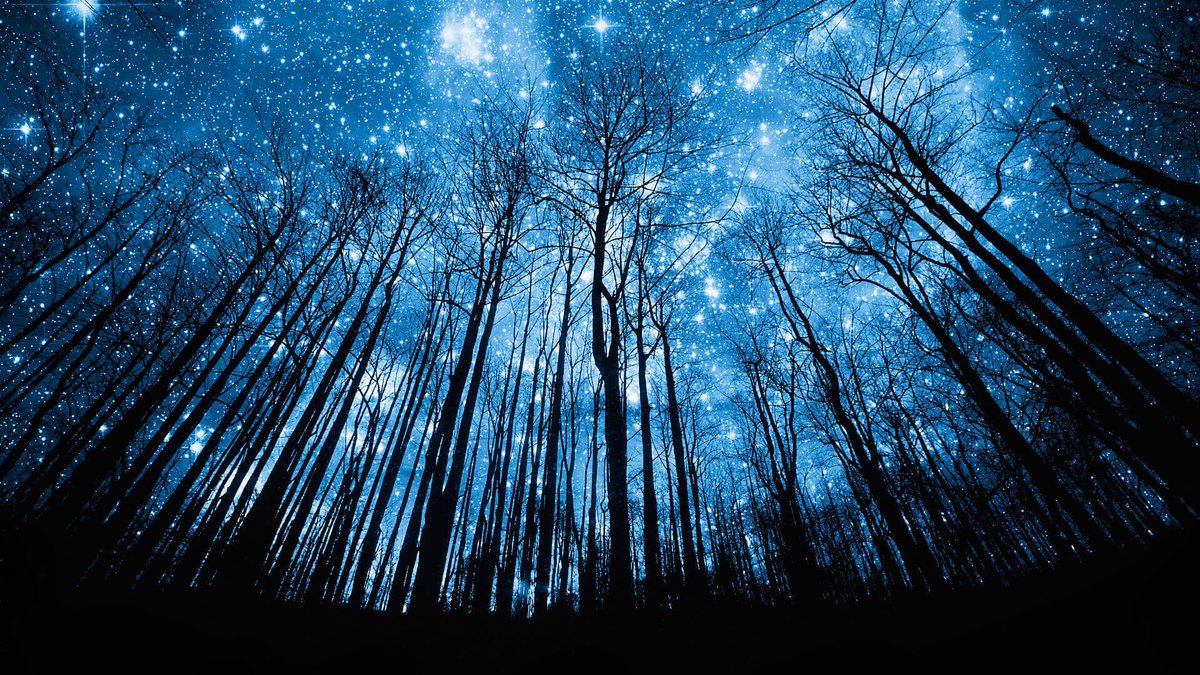 Le bugie sono la più grande differenza tra gli uomini e la natura.

Micol Manzo

#13Novembre #buongiorno #BuongiornoATutti