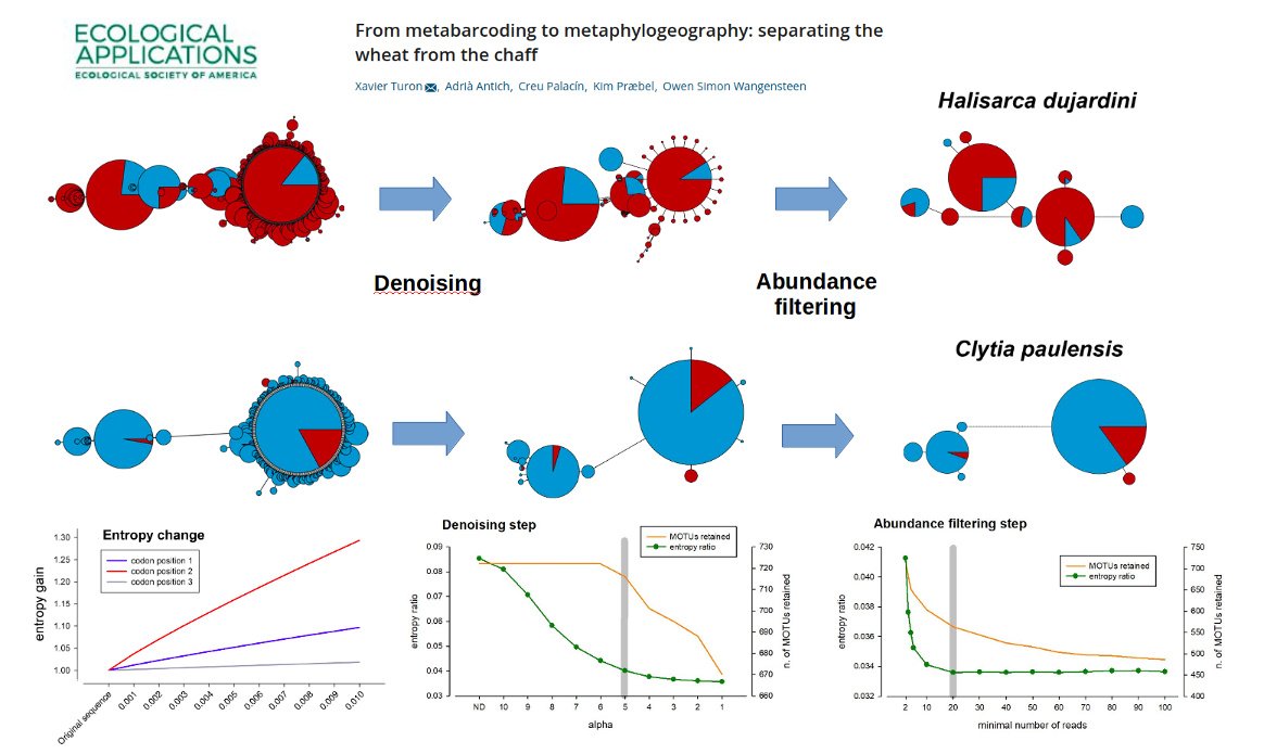 Owen S. Wangensteen (@owenwangensteen) on Twitter photo From #metabarcoding to #metaphylogeography is free online now in <a href="/ESAApplications/">Ecological Applications</a>.
How to get from a mess of raw NGS reads to clean haplotype networks, based on entropy-ratio reduction,
400+ eukaryotic species at a time!!! ;-)
@xavierturon, <a href="/a_antich/">Adrià Antich </a>, <a href="/KPraebel/">Kim Praebel</a>, <a href="/UiTGenetics/">UiTGenetics</a> From #metabarcoding to #metaphylogeography is free online now in <a href="/ESAApplications/">Ecological Applications</a>.
How to get from a mess of raw NGS reads to clean haplotype networks, based on entropy-ratio reduction,
400+ eukaryotic species at a time!!! ;-)
@xavierturon, <a href="/a_antich/">Adrià Antich </a>, <a href="/KPraebel/">Kim Praebel</a>, <a href="/UiTGenetics/">UiTGenetics</a>