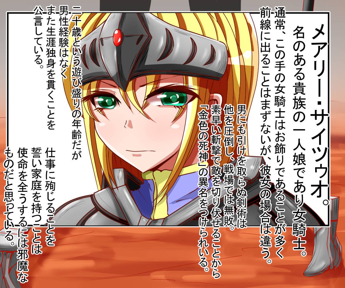 過去絵の騎士様 