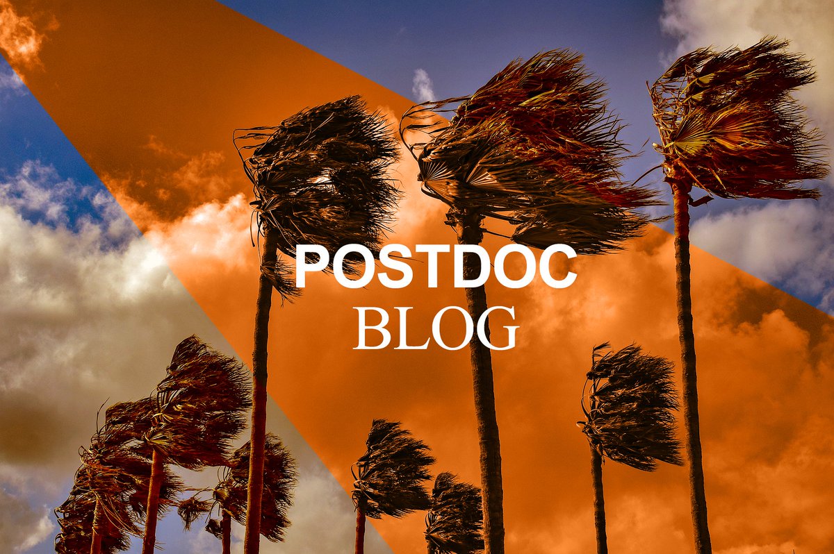 Careers Service, University of Cambridge tweet media