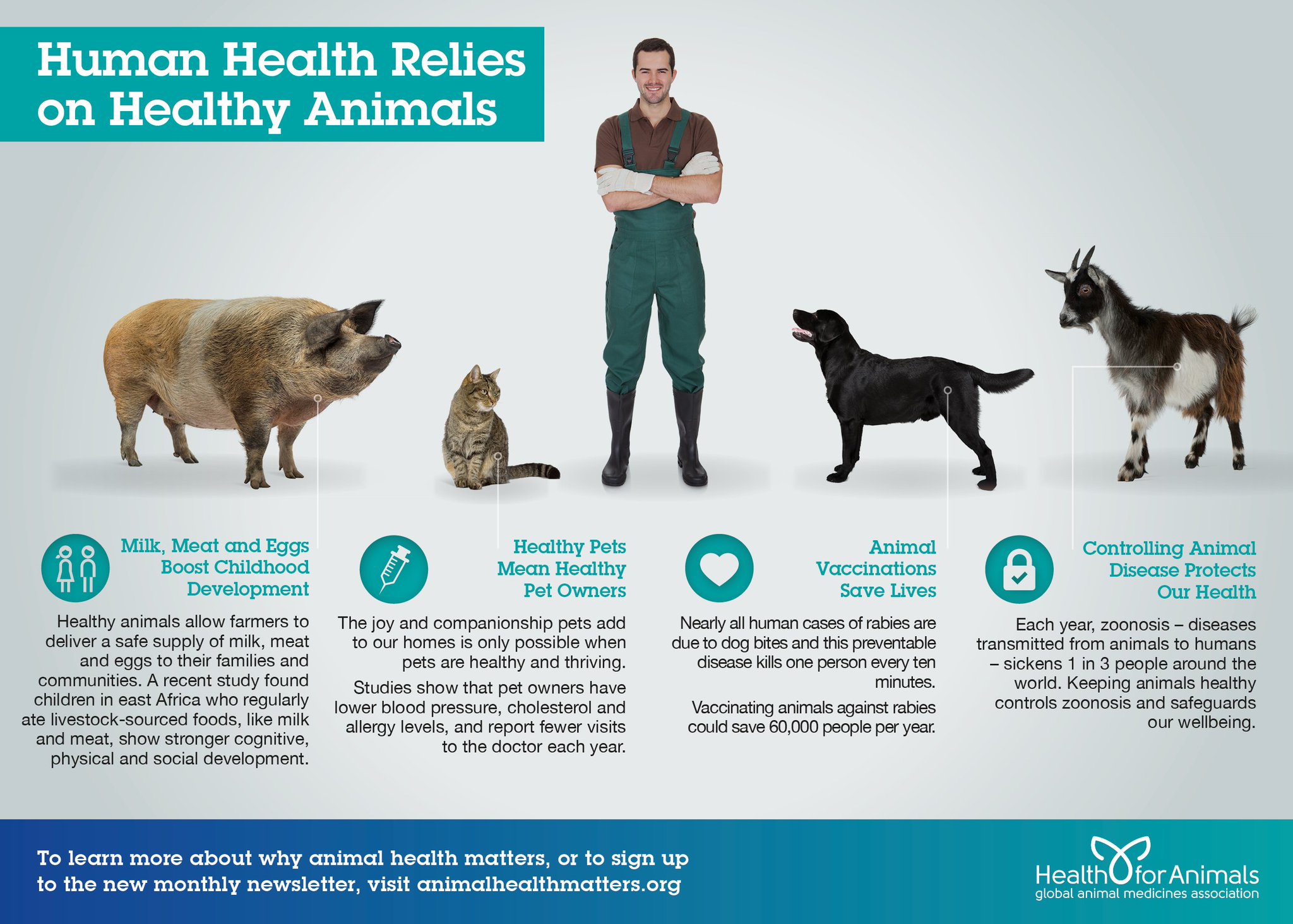 Wildlife, Healthy Pets, Healthy People