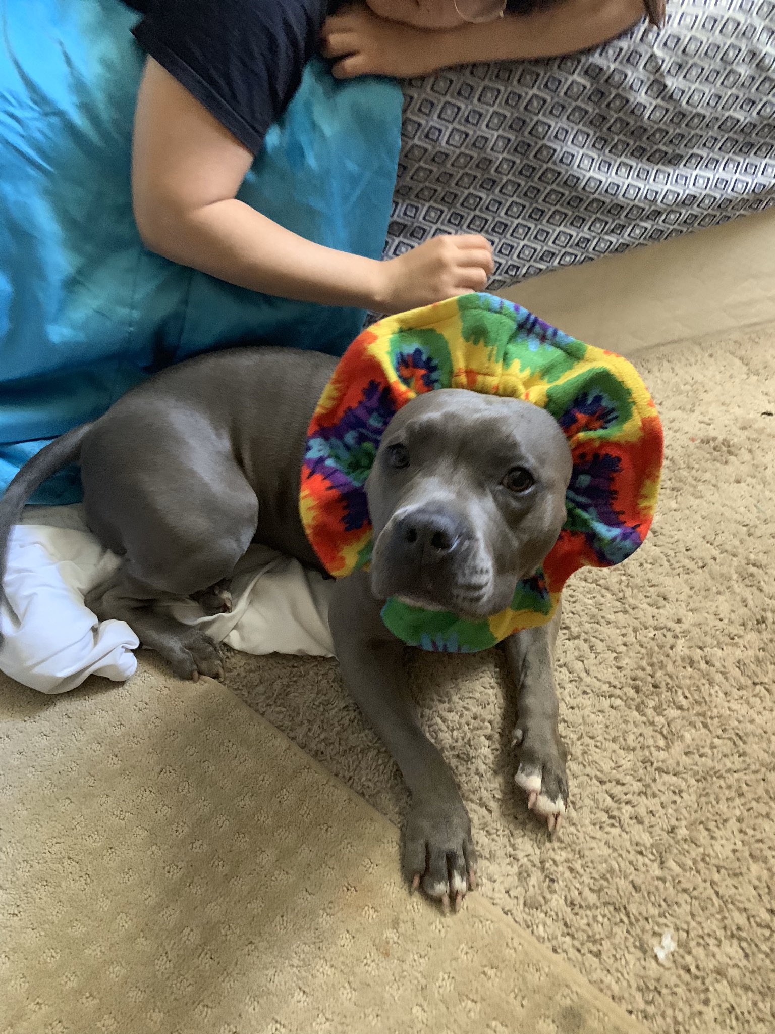 chicana barbie (@anuhstza) / Twitter