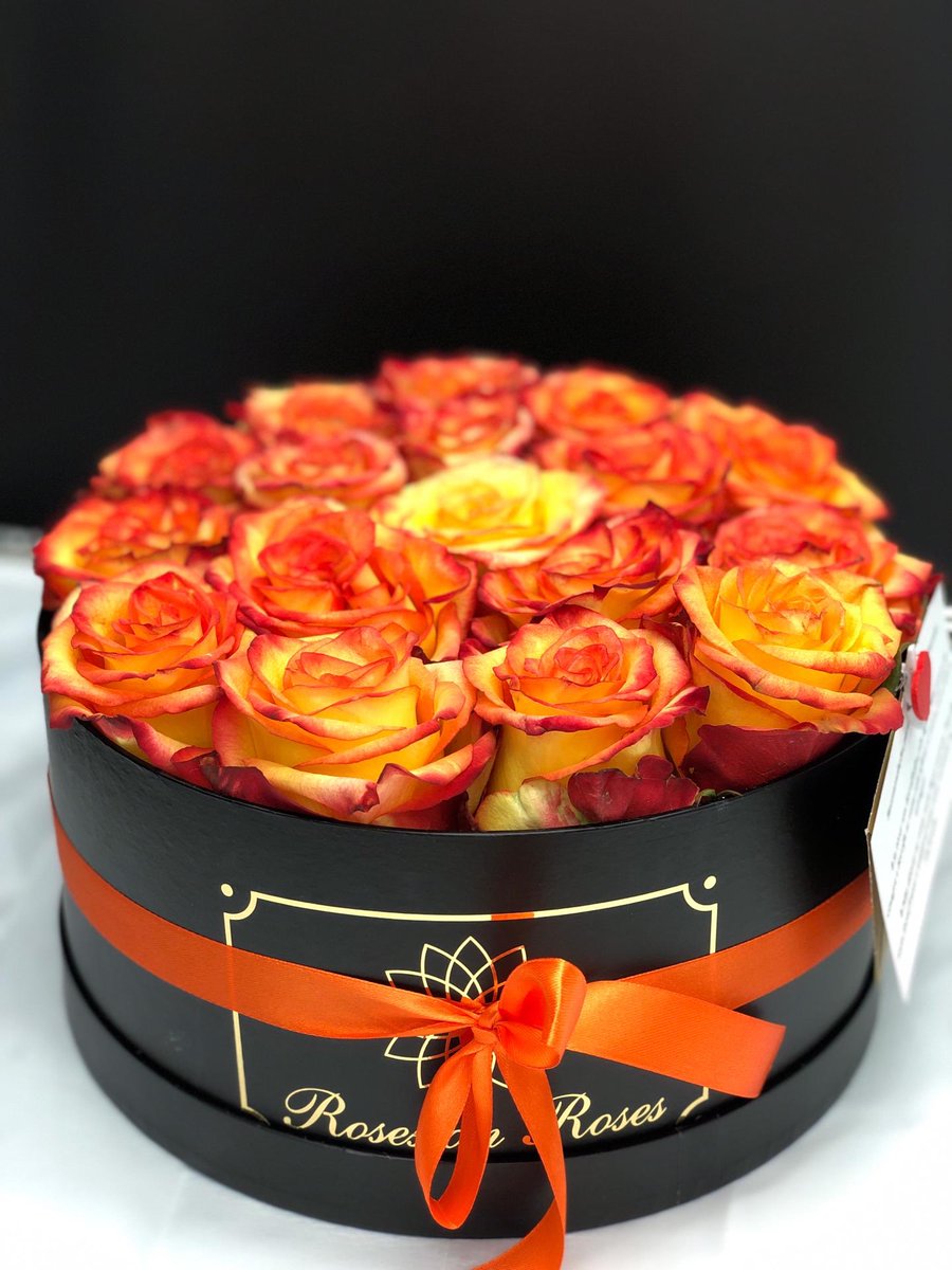 De luz ao seu dia 🧡☀️ #rosesonroses #beautiful #creative #love #caring #babe