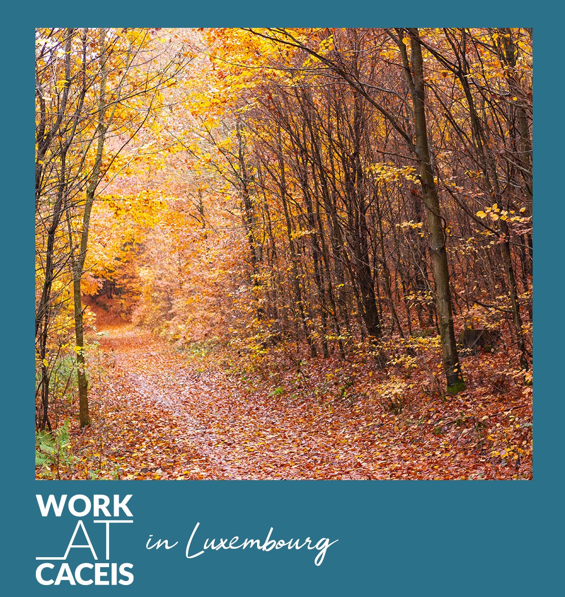 AnneArakilian's tweet image. #OnRecrute Nous sommes très heureux de vous présenter notre dernière campagne #WorkAtCACEIS in Luxembourg pour découvrir ce pays autrement ! 🏃Avis aux sportifs et amoureux de la nature. 📍Direction le #Luxembourg qui compte plus de 35% de surface forestière!🍂 #Recrutement #RH
