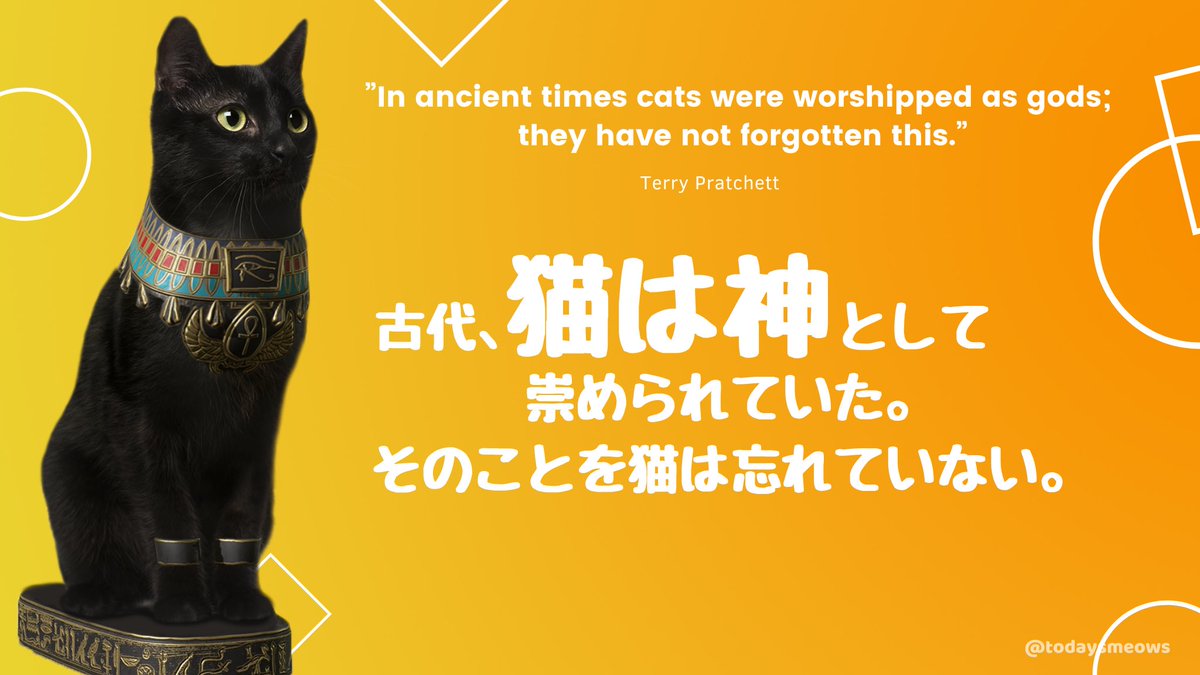 ほんじつのニャース 明るい猫ニュースだけ イングランドのファンタジー作家であるテリー プラチェットの猫格言 今もそれは事実だよね 名言 格言 偉人 猫神 猫神様 猫を崇めよ 猫奴隷 猫下僕