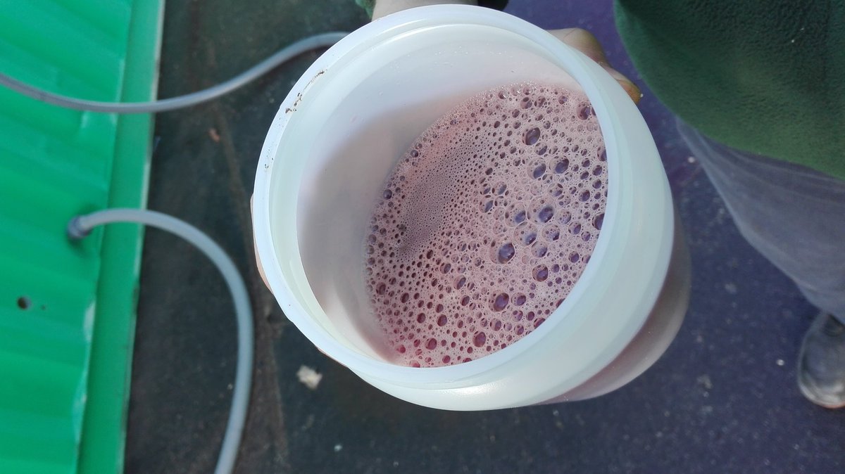 palgatCartif's tweet photo. 4th Coordination Meeting of Life ALGAECAN, LIFE 16 ENV/ES/000180.1. Beetroot water sample
2. Reactor with the microalgae.
3. Centrifugator. Demostration plant. @CARTIFCT , @EU_EASME ,@LIFEALGAECAN https://t.co/RvBchhvGC9