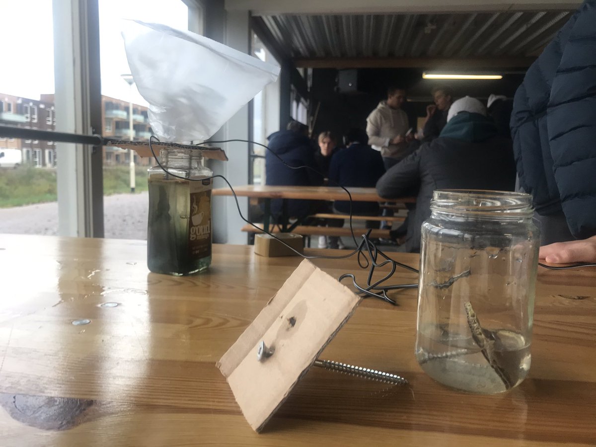 Anneke van den Engel tweet media