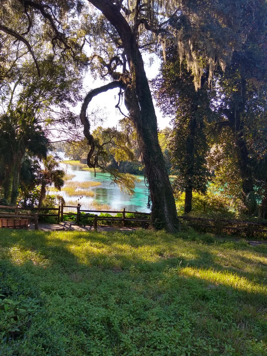 Chilly morning at Rainbow River State Park with Dunnellon Elementary 4th graders learning about River conservation! 🐊🐢🐊 <a href="/DESsmallPAWS/">Dunnellon Elementary</a> <a href="/MCPS_Elementary/">🍎 MCPS Elementary Education</a> <a href="/FLStateParks/">Florida State Parks</a>