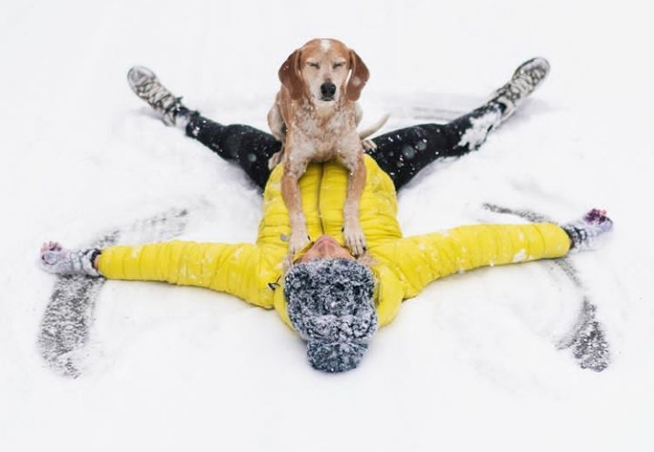 UKWildcatgal's tweet photo. Finally, the perfect snow angel. #thiswildidea https://t.co/W09qfkNvzY