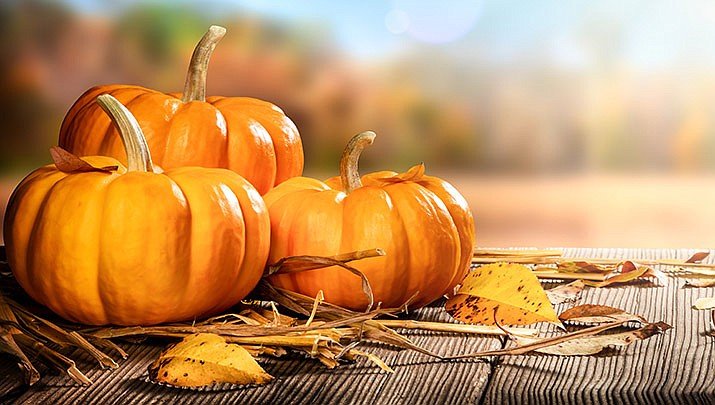 ProScopeSystems's tweet image. Harvest a Great Deal!  Contact Us Today with Your Endoscopy Equipment Purchasing and Repair Needs!