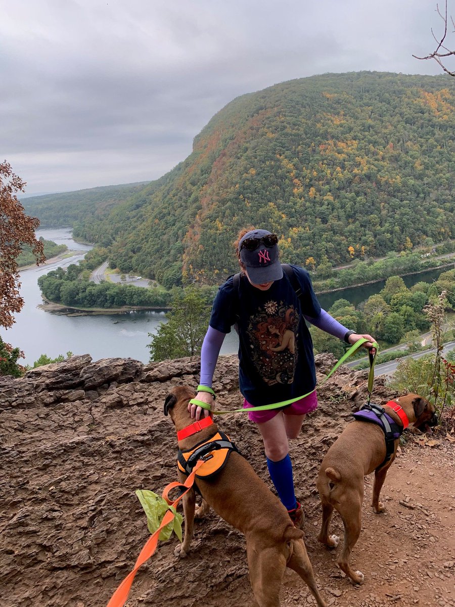 ShopUniqueJC1's tweet photo. .@KerryLeeHaas started Boxer Bros. Leather bc her dogs "needed some sturdy collars and leashes...I taught myself how to make collars and leashes that could stand up to a strong dog." https://t.co/A62BNBHYRP #ShopUniqueJC https://t.co/eXcQwMNmNS