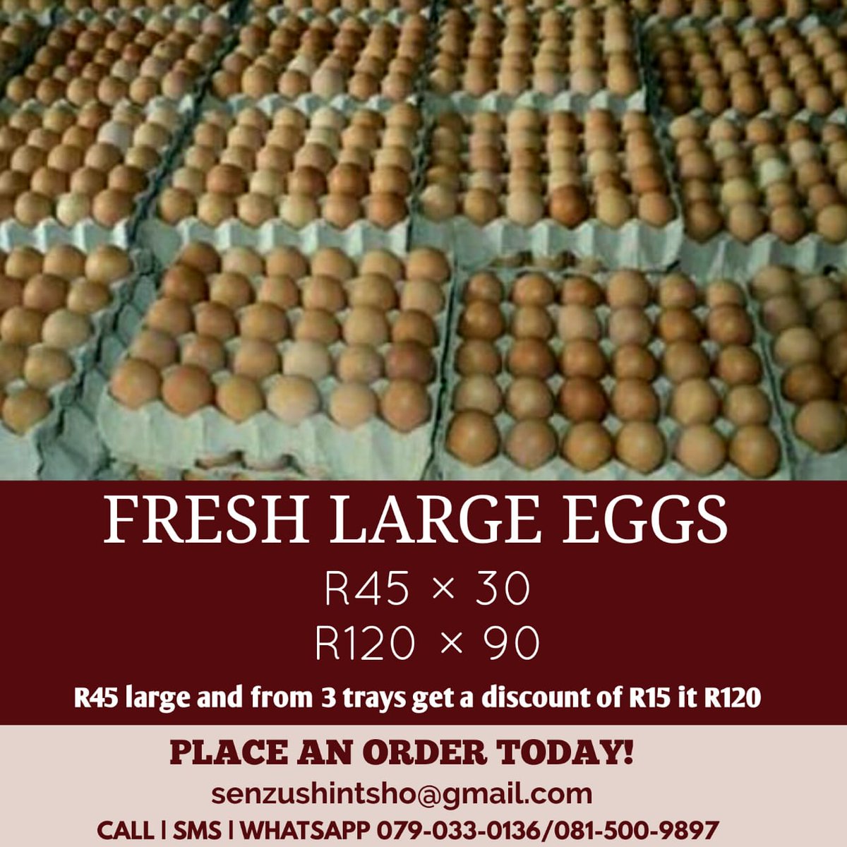 sgqiva's tweet photo. Order our Eggs Fresh from the Farm. https://t.co/wcKc4HDj65