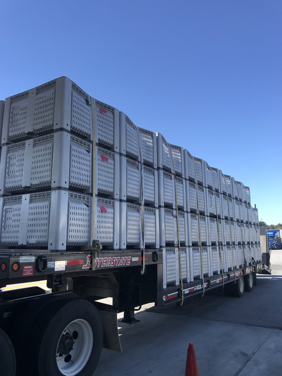 ForestryVA's tweet image. VDOF nursery staff transported loblolly #futuretrees to Georgia for processing last week.

Took 4 long road trips! 66 boxes of pinecones on this truckload, ~10 bushels in each box.

Processed seeds will later be planted, grown &amp;amp; sold/used for #pine #reforestation projects