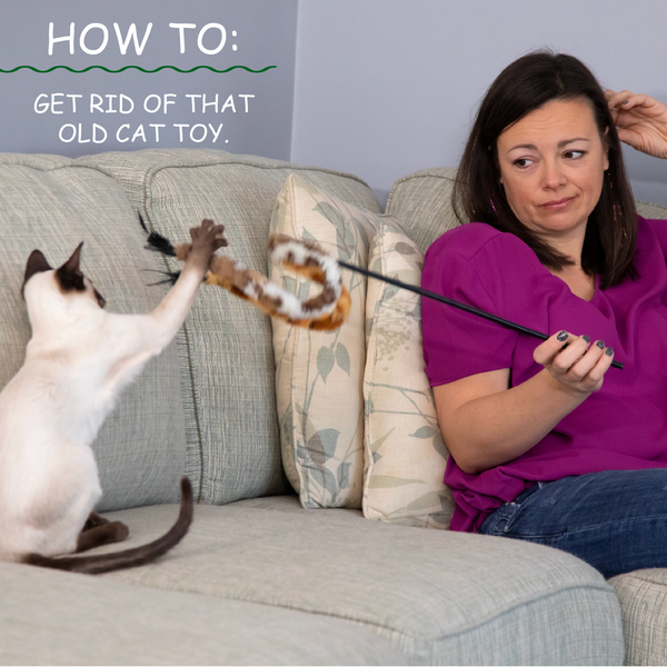 PopnPlayOffer's tweet photo. Are you tired of having to hold that old cat toy? Pop n' Play can fix that for you! #popnplay https://t.co/3SU2mNUByk