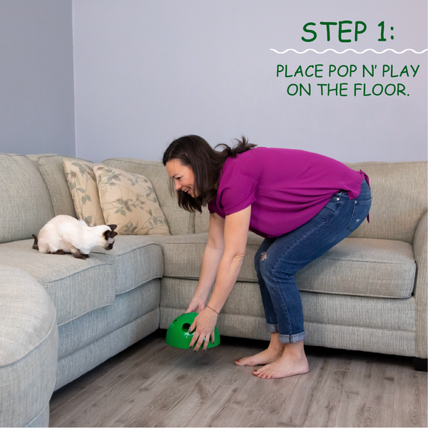 PopnPlayOffer's tweet photo. Are you tired of having to hold that old cat toy? Pop n' Play can fix that for you! #popnplay https://t.co/3SU2mNUByk