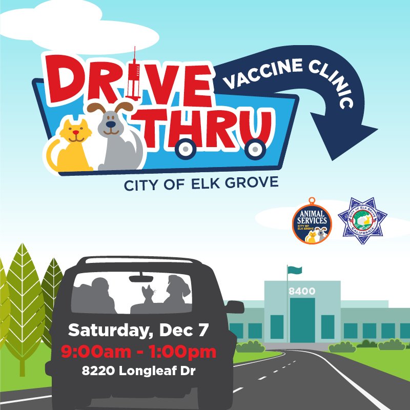 CityofElkGrove's tweet photo. Animal Services will be hosting a drive-thru vaccination clinic. Update your pet’s vaccination record while remaining in the comfort of your vehicle. Join us for a free pet vaccination clinic open to all Elk Grove residents with proof of residency. (while supplies last) https://t.co/BfMpBYwSm4