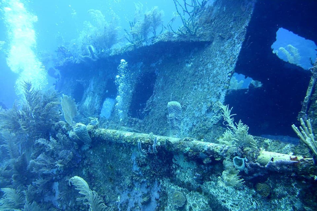 Prince Albert Wreck is a 165-foot freighter that is home to extensive coral growth which almost completely covers the entire wreck. It is a great dive site to explore and is an 8-minute boat ride from Barefoot Divers!

Learn more about our favorite sites: barefootdivers.com/divesites-mary…