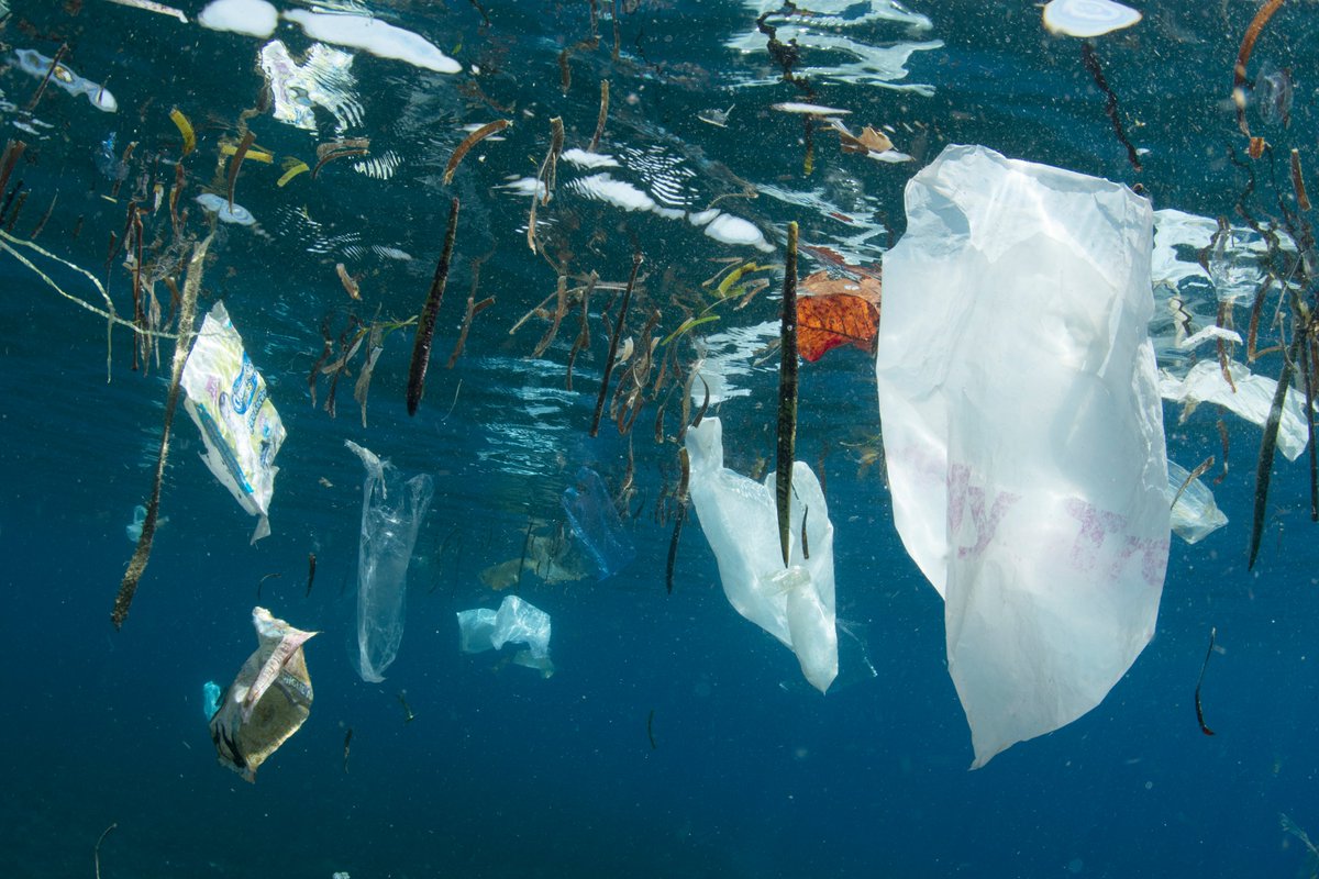 WWFitalia's tweet photo. Salvaguardia mare e economia circolare
#pescatori di ANZIO e FIUMICINO recuperano rifiuti,plastica,etc con progetto “Recupero e riciclo del marine litter”, anche con APP https://t.co/bQVApU09Dm
https://t.co/Uj4wcDT4O0
#WWF #FLAG Lazio Mare Centro @RegioneLazio  
@Corepla_Riciclo https://t.co/D8PK6LGSBJ