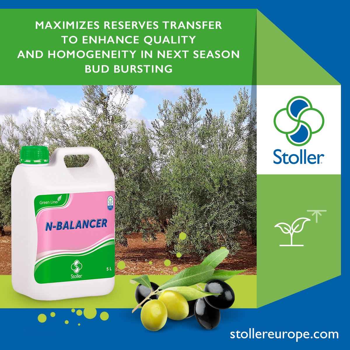 StollerEurope's tweet image. The #StollerTechnology present in N-BALANCER favors the transfer of photosynthates from the leaves to the reserve areas of the plant.

#NBalancer #PostHarvest #Olive